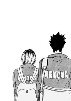 音駒の気まぐれ猫マネージャー