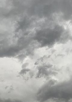 ニーゴのメンバー辛いようで