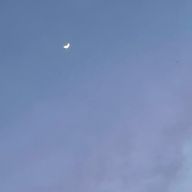 gonさんのアイコン画像