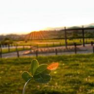 l_s_t_m_yさんのアイコン画像