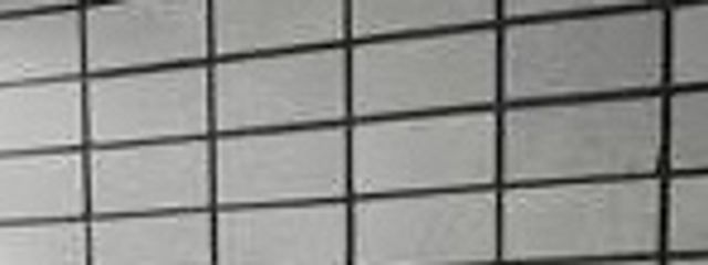 𝑅 𝑖 𝑎さんの壁紙画像