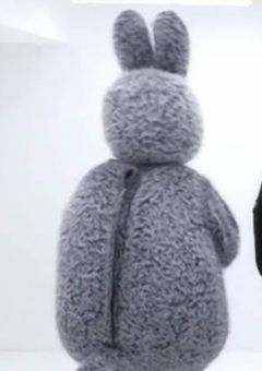 僕はうさぎ。