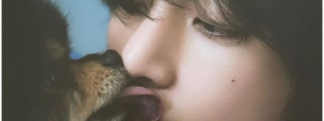     きりん🐼さんの壁紙画像