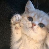 ほのさんのアイコン画像