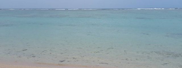 猫留さんの壁紙画像