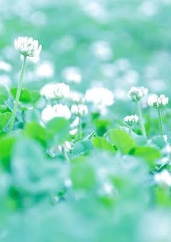 め ゆ * ノ 雑 * 談