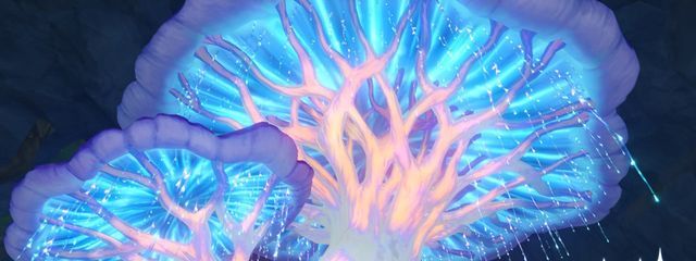 シュランさんの壁紙画像