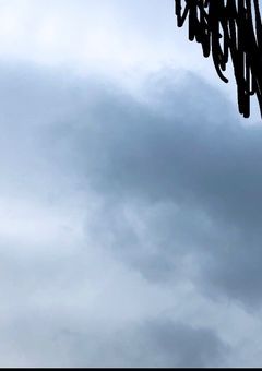 自分達の日常パラダイス☆