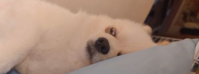 ななさんの壁紙画像