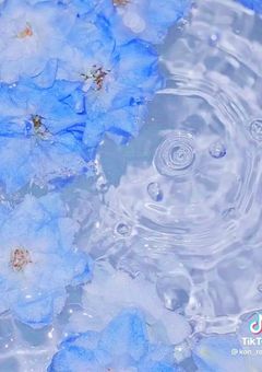 その花が枯れるまでに貴方に伝えたい