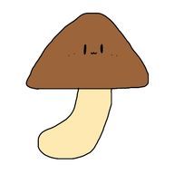 しいたけ🐈‍⬛🍄さんのアイコン画像