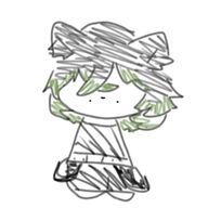 みどりさんのアイコン画像
