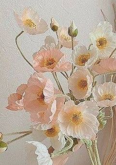 磯貝悠馬のお嫁さんはアイドルです！