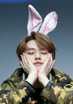 ぐずぐずな悪魔うさぎ 。