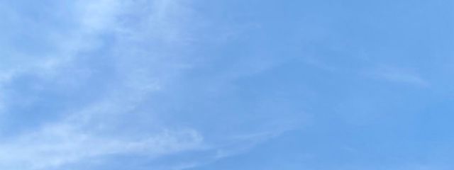 神崎ぱん(ふぇる)活休中さんの壁紙画像