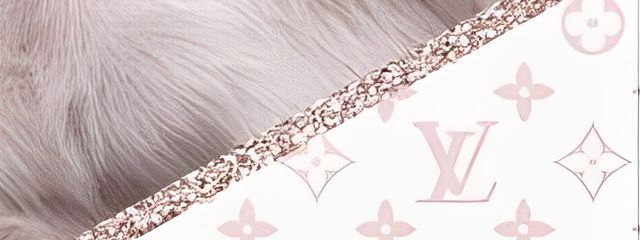 Yuiさんの壁紙画像