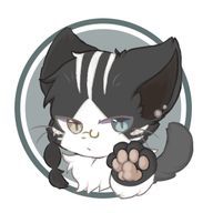 ぬこ🐱@ていふさんのアイコン画像