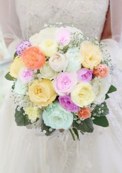 動じないプリンセス