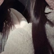 ふ ゆさんのアイコン画像