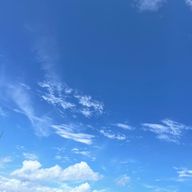 らしょあさんのアイコン画像