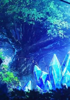 森の中の小さな食堂