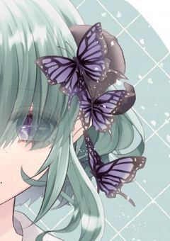 蝶は恋を隠せない🦋.*˚