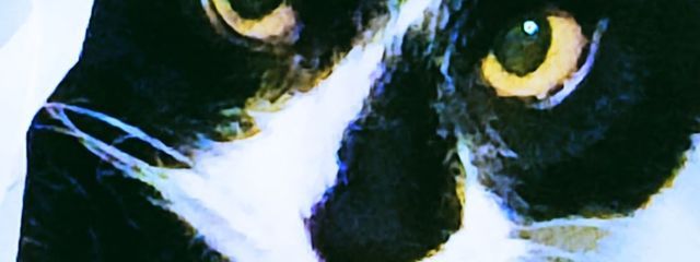 bukiさんの壁紙画像