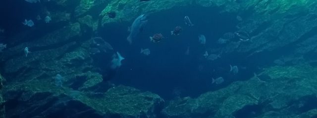 yumi@サボり魔さんの壁紙画像