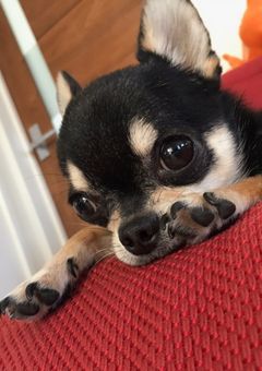 くっっっっっそどうでもいい雑談