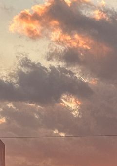 みんなも守れよ☆くらげとの約束!