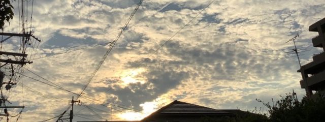 天乃　由紀　（妹）さんの壁紙画像