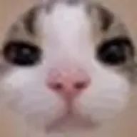 崔_崔さんのアイコン画像