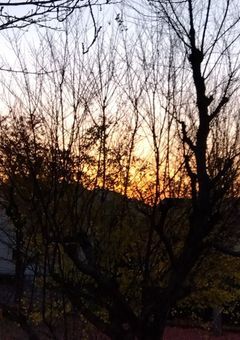 描いた絵を見せたい！！