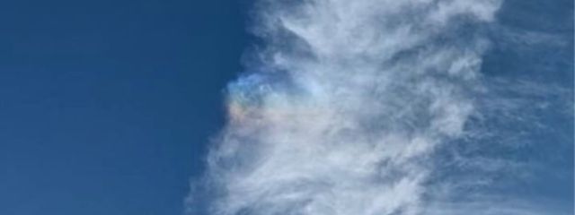 エリンギさんの壁紙画像