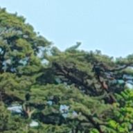 オレンジジュースさんのアイコン画像