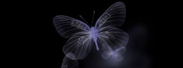 kaiさんの壁紙画像