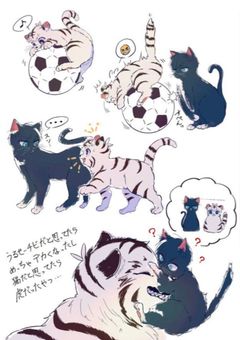 多分今後二度とない実写