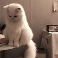 ^×~×^♡さんのアイコン画像