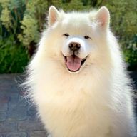 ｿﾘさん💋🍷さんのアイコン画像