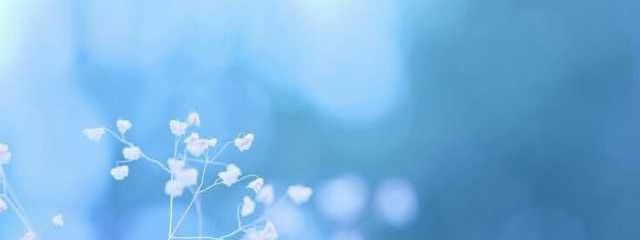 彗瀬 。さんの壁紙画像