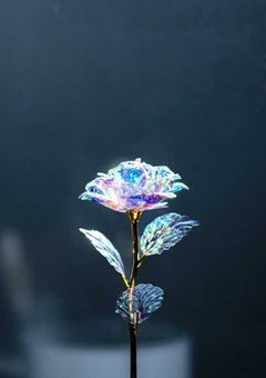 雑談部屋だよん！お話しましょう！