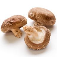    おかず🍮@しばらくお休みしますさんのアイコン画像