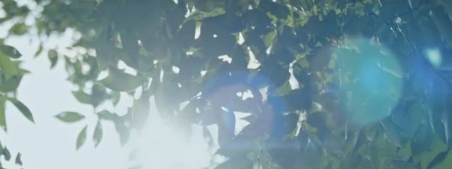 野良ノ愛犬さんの壁紙画像