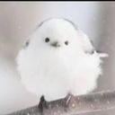 皆