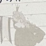 はなちゃんももちゃんさんのアイコン画像
