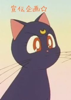 宣伝企画‪𓂃𓈒໒꒱‪𓏸