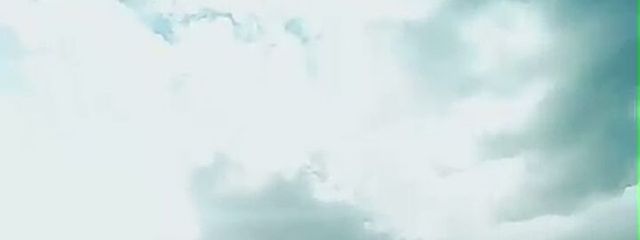 きったんさんの壁紙画像