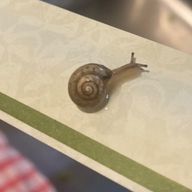 そぼくな人🫥さんのアイコン画像