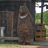 わさびさんのアイコン画像