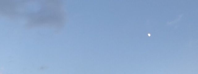 ɐʎɐuo🌈🦋さんの壁紙画像